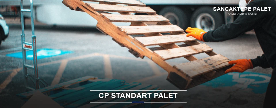 Sancaktepe CP Palet Çözümleri